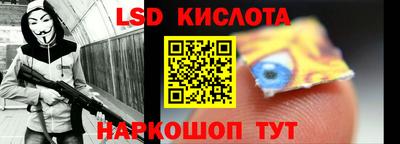гидропоника Новозыбков