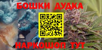 гидропоника Новозыбков