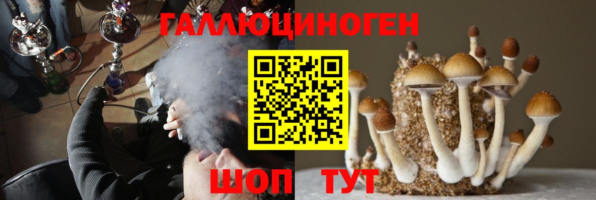 Псилоцибиновые грибы мицелий  Вход с VPN  Сосновоборск  Галлюциногенные грибы GOLDEN TEACHER 
